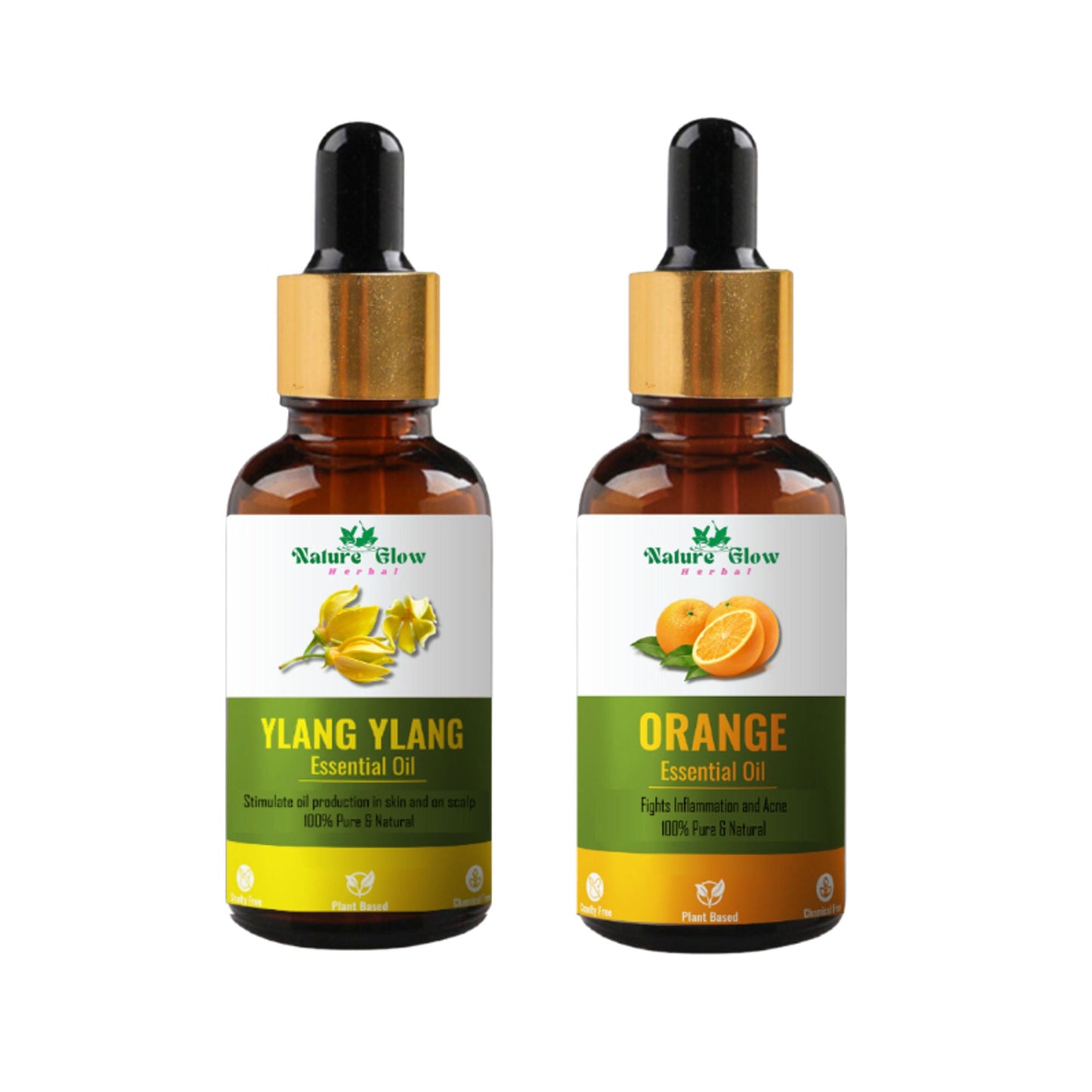 https://cdn.shopify.com/s/files/1/1857/6931/files/cb75a4c8900028100299.jpg?v=1770707489