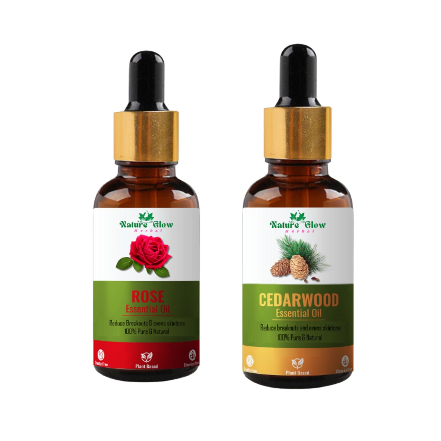 https://cdn.shopify.com/s/files/1/1857/6931/files/cb75a4c8900028100305.jpg?v=1770707709
