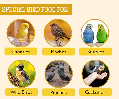 Image 7 of Foodie Puppies Foxtail Millet Kangni Seeds Bird Food - 2Kg Pouch