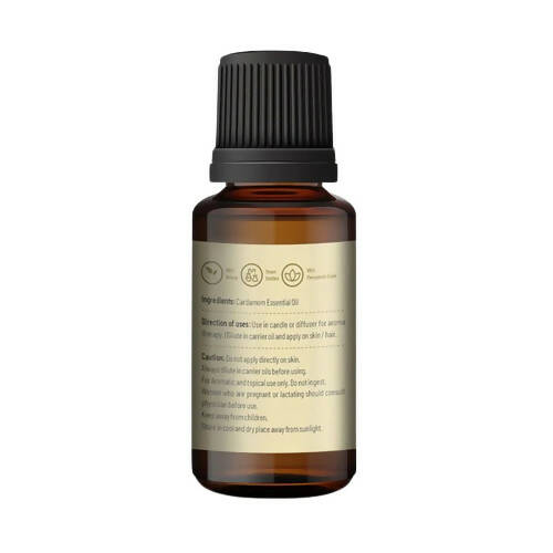 https://cdn.shopify.com/s/files/1/1857/6931/products/dFM4UlOM2y.jpg?v=1665040606