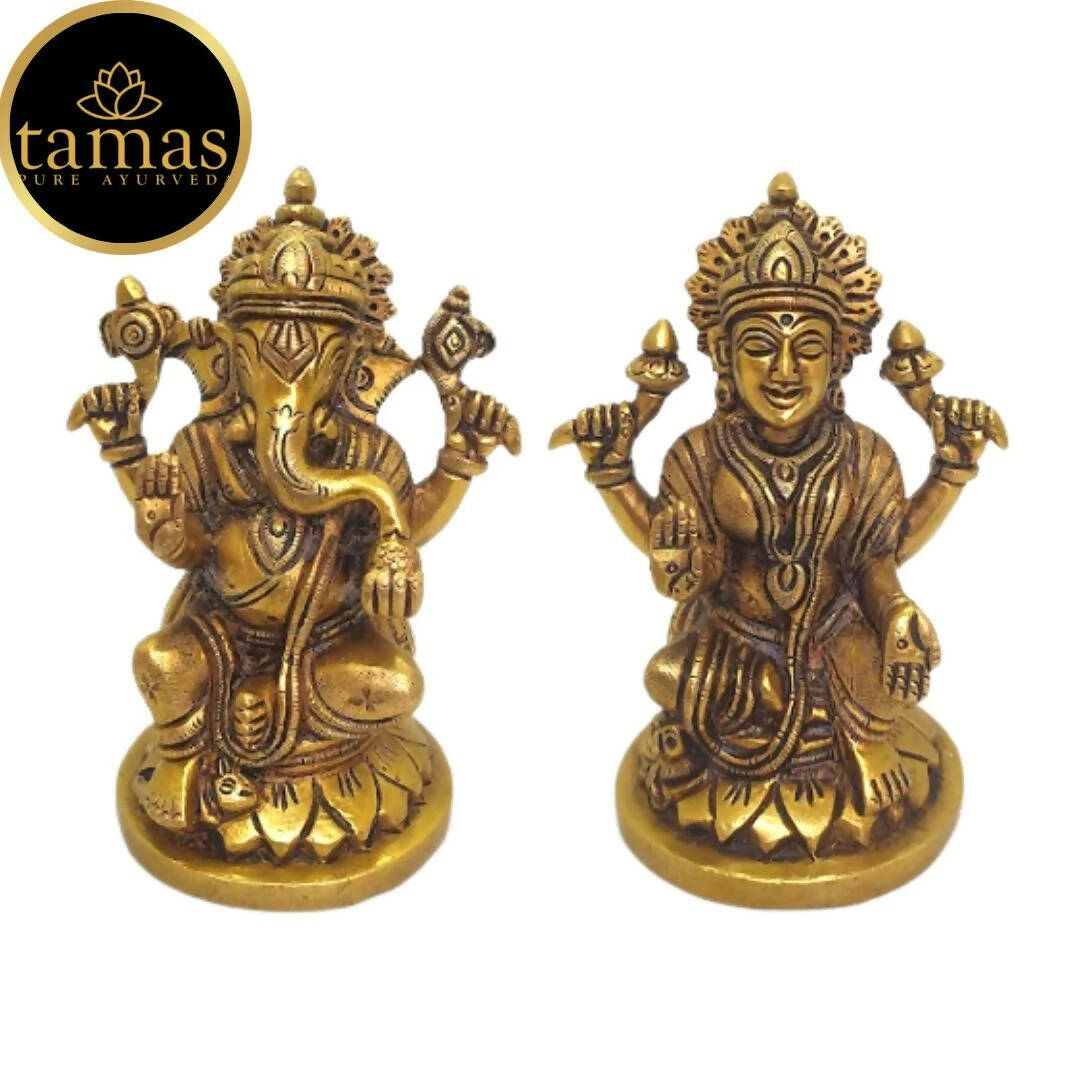 https://cdn.shopify.com/s/files/1/1857/6931/products/dFTWyUq6TW.jpg?v=1681468297