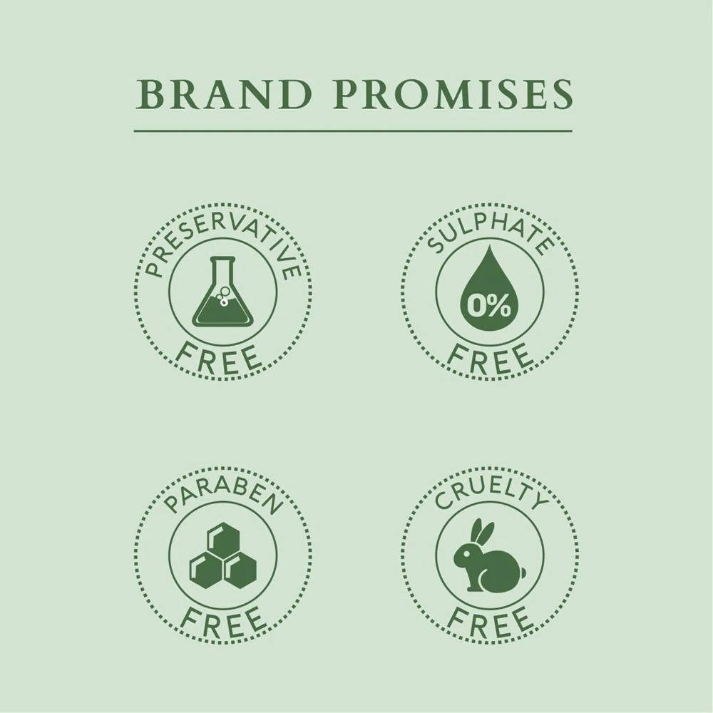 https://cdn.shopify.com/s/files/1/1857/6931/products/dWYY5Z8A36.jpg?v=1648461250