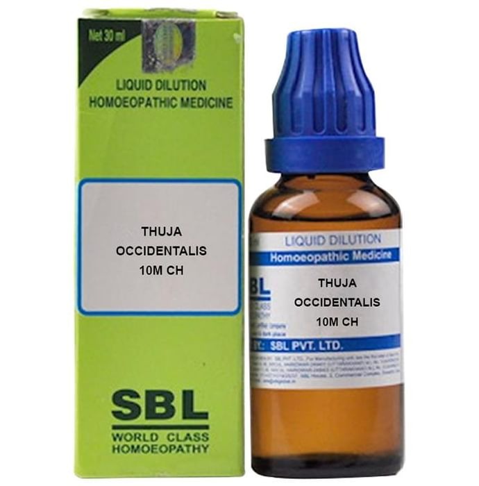 https://cdn.shopify.com/s/files/1/1857/6931/files/download-2024-05-06T105955.888.jpg?v=1737559865