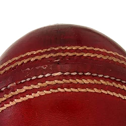 Image 5 of SG Cricket Ball Test Red