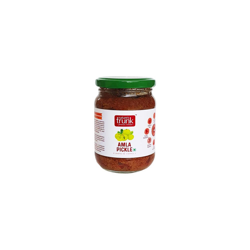 https://cdn.shopify.com/s/files/1/1857/6931/products/fafPYH4JI9.jpg?v=1630031506