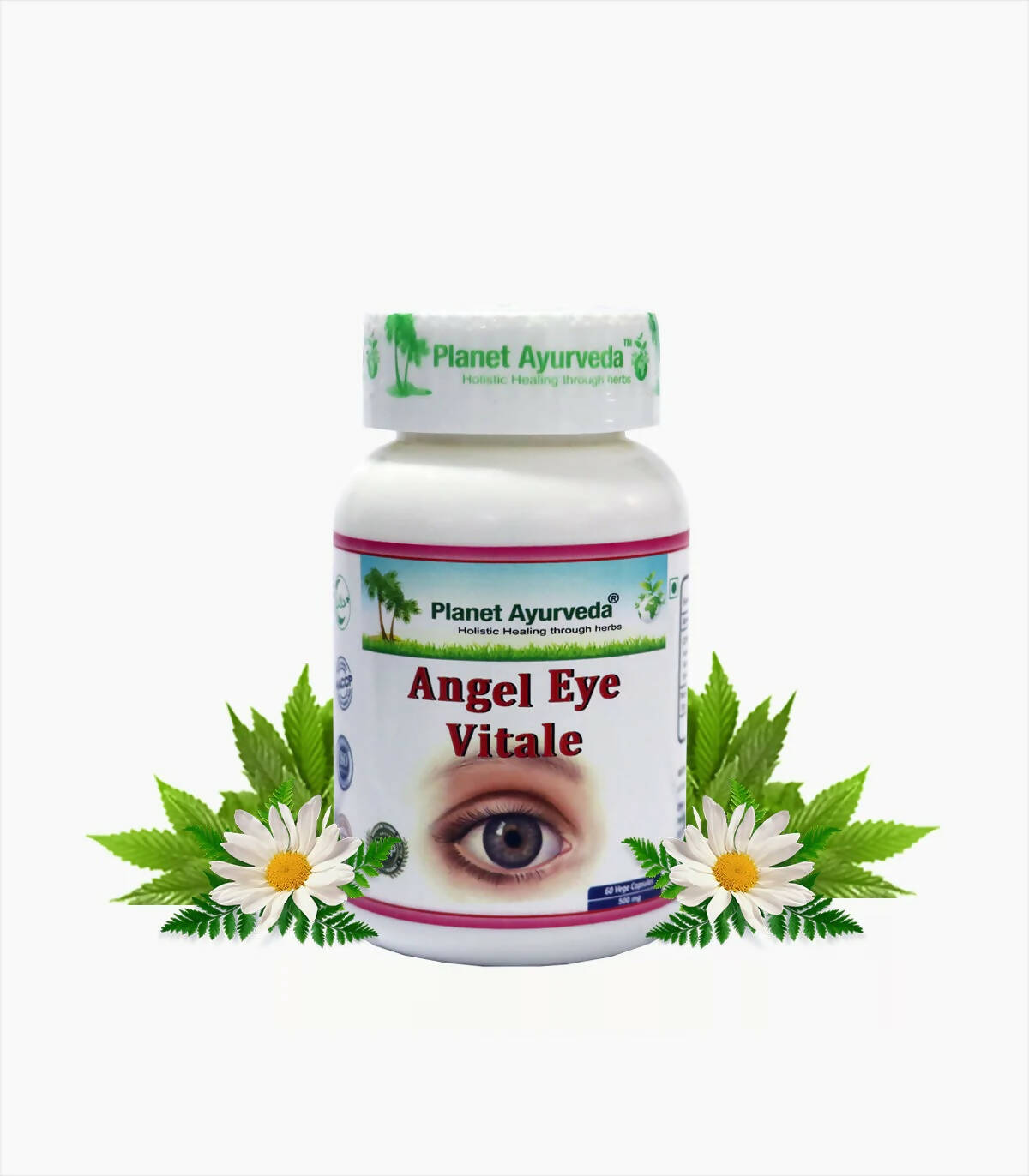 https://cdn.shopify.com/s/files/1/1857/6931/products/g8ZmaA8LAr.jpg?v=1762350863