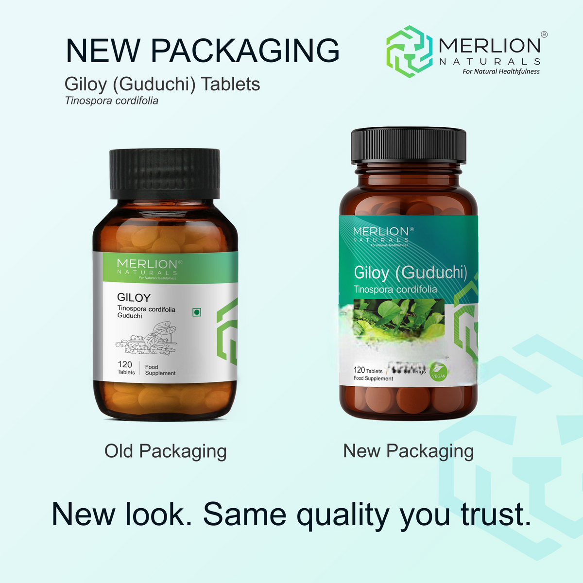Image 2 of Merlion Naturals Giloy 500mg Tablets