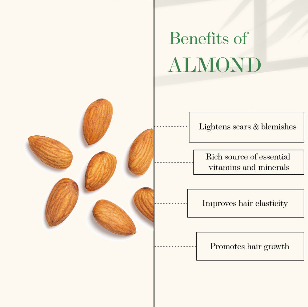 https://cdn.shopify.com/s/files/1/1857/6931/products/good-vibes-almond-and-wheatgerm-oil-cold-pressed-oil-100ml_2_display_1609418731_20bb5086.jpg?v=1646132374