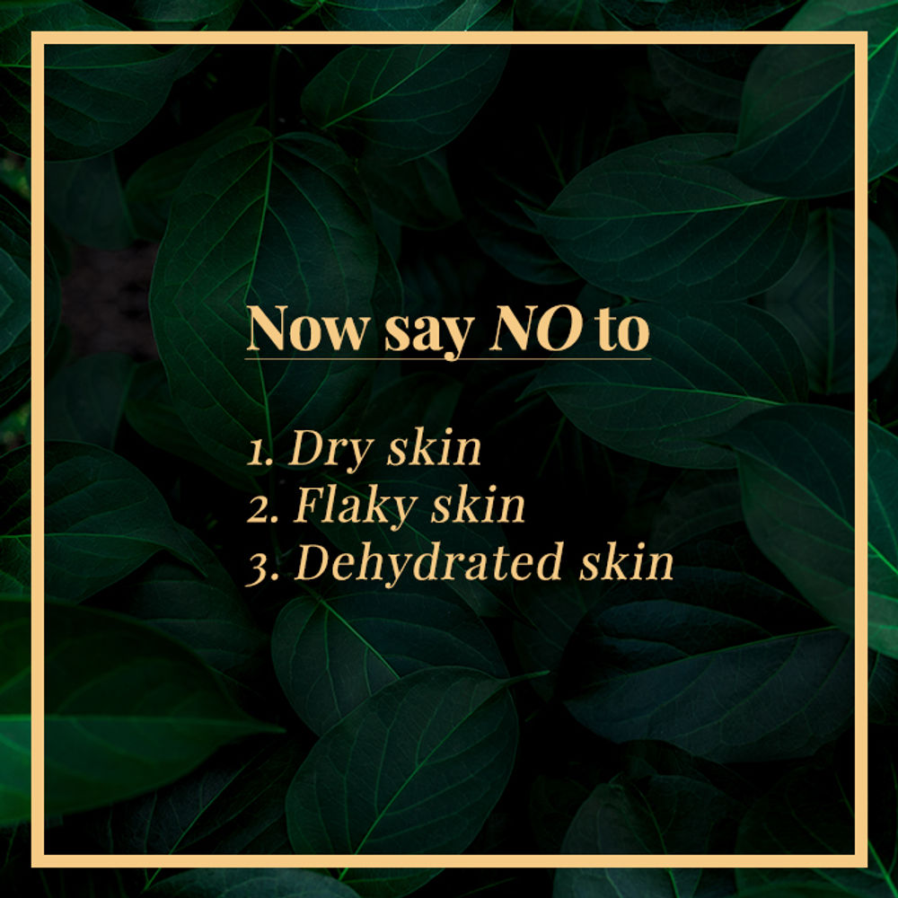 https://cdn.shopify.com/s/files/1/1857/6931/products/good-vibes-anti-ageing-face-cream-olive-50-g_4_display_1580465711_9f1dd3de.jpg?v=1646293112