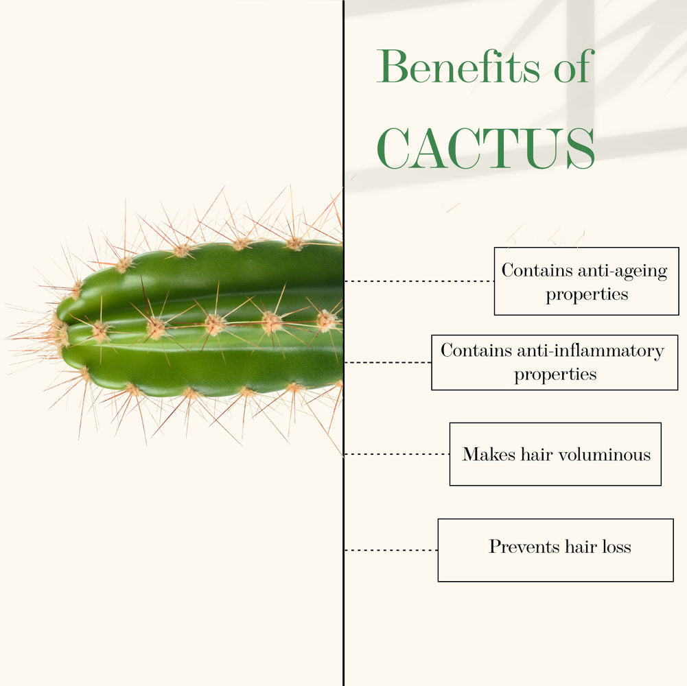 https://cdn.shopify.com/s/files/1/1857/6931/products/good-vibes-cactus-and-rosehip-oil-cold-pressed-oil-100ml_2_display_1609419105_9c8afec2.jpg?v=1646222858