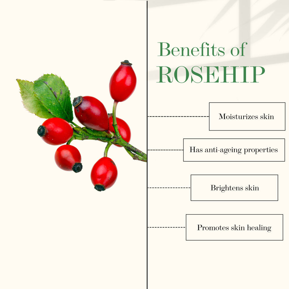 https://cdn.shopify.com/s/files/1/1857/6931/products/good-vibes-deep-cleansing-face-wash-rosehip-200-ml-1-84_4_display_1626069824_051cc2a7.jpg?v=1646376668