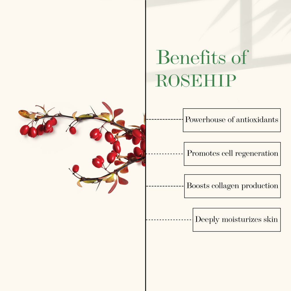 https://cdn.shopify.com/s/files/1/1857/6931/products/good-vibes-moisture-rich-face-cream-rosehip-50-g-1_4_display_1612769846_0b5f239e.jpg?v=1646376790