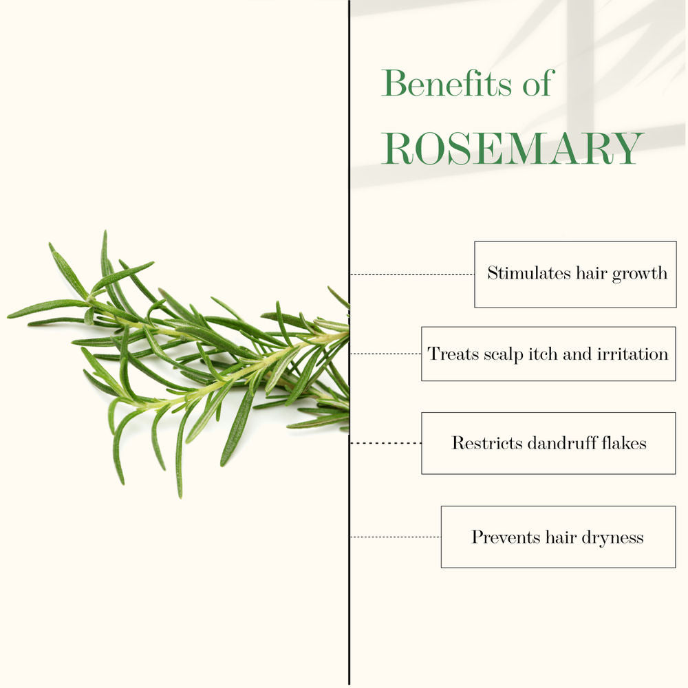 https://cdn.shopify.com/s/files/1/1857/6931/products/good-vibes-tea-tree-and-rosemary-anti-dandruff-hair-oil-100-ml_6_display_1616832798_0284da2a.jpg?v=1646386885