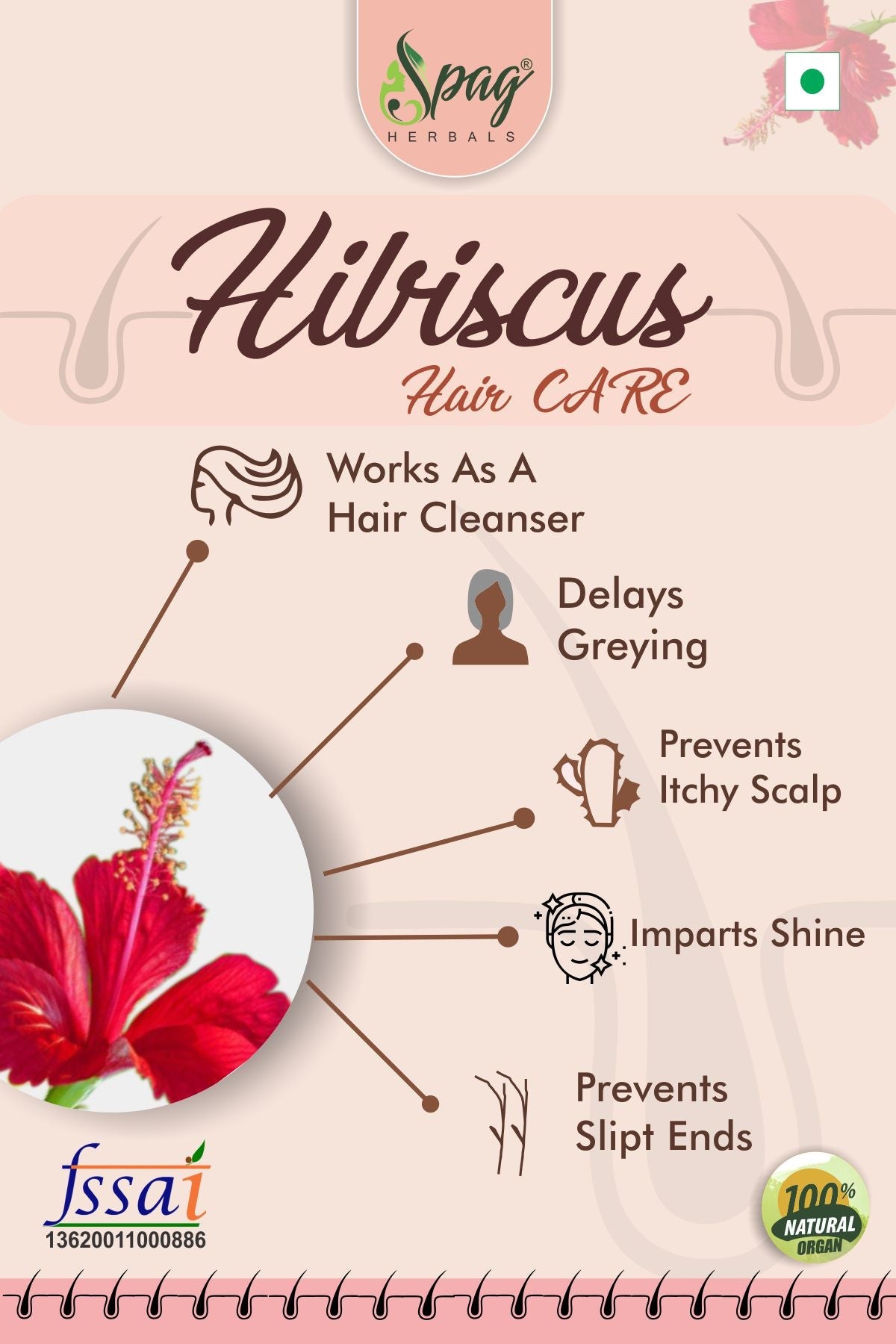 https://cdn.shopify.com/s/files/1/1857/6931/products/hibiscus3.jpg?v=1681992130