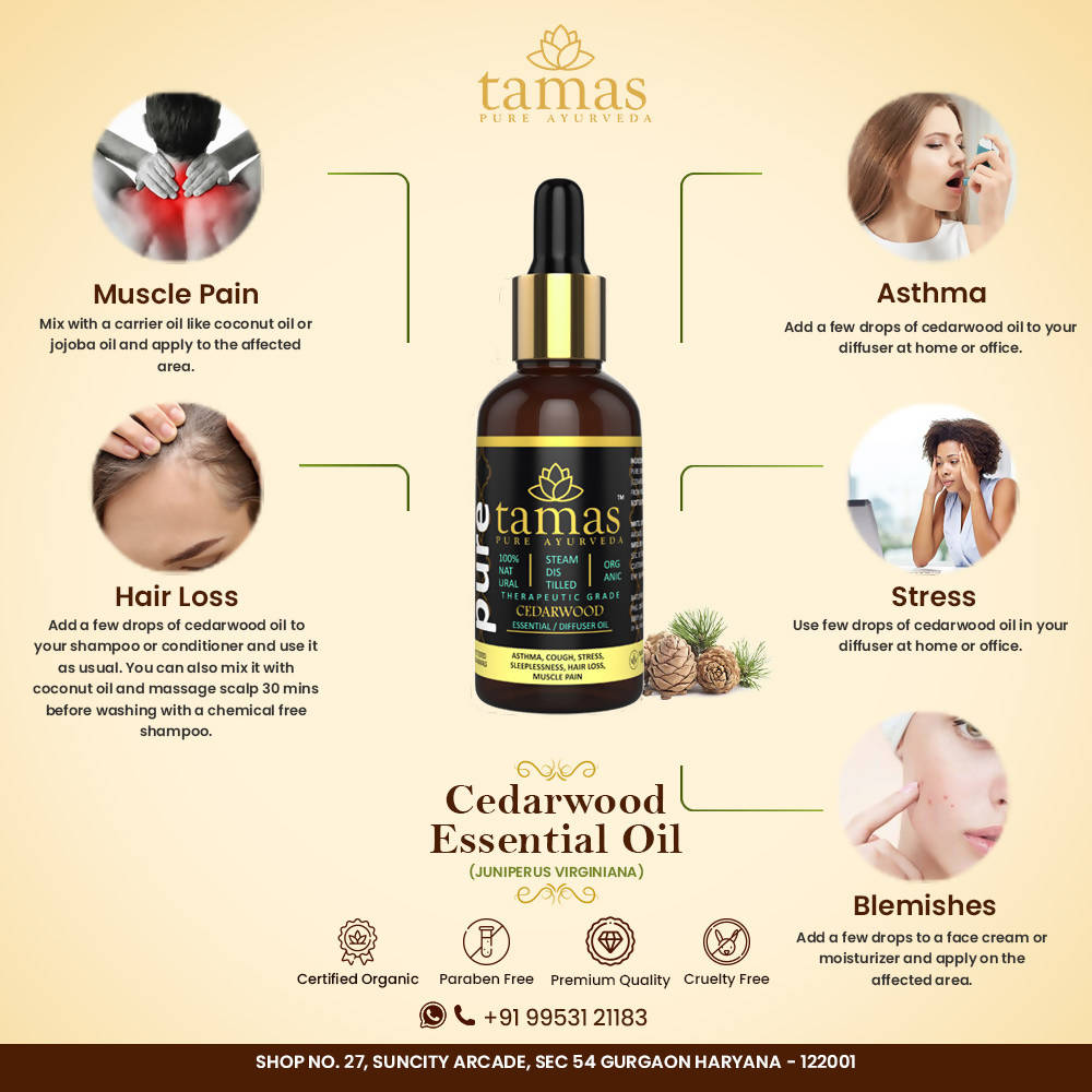 https://cdn.shopify.com/s/files/1/1857/6931/products/hjsQUZyYd8.jpg?v=1626402538