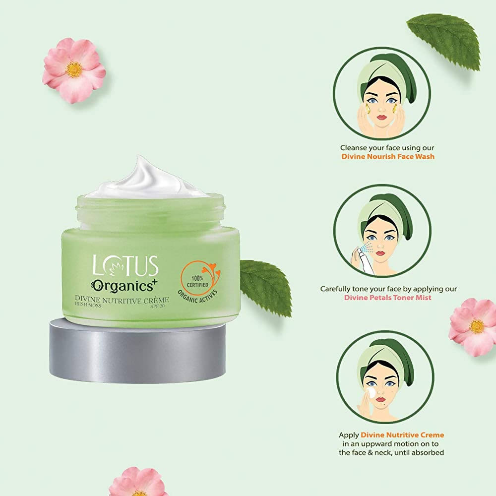 https://cdn.shopify.com/s/files/1/1857/6931/products/hyoMOW31en.jpg?v=1648461124