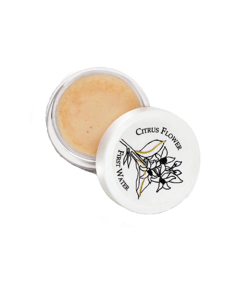 https://cdn.shopify.com/s/files/1/1857/6931/products/i2gLTaMGdo.jpg?v=1616120907