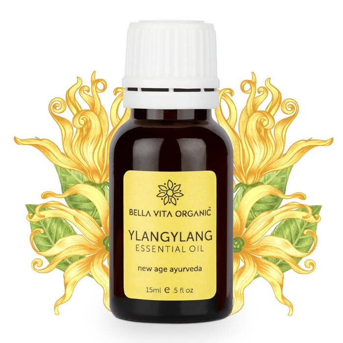 https://cdn.shopify.com/s/files/1/1857/6931/products/jfKxrpoKjD.jpg?v=1625797834