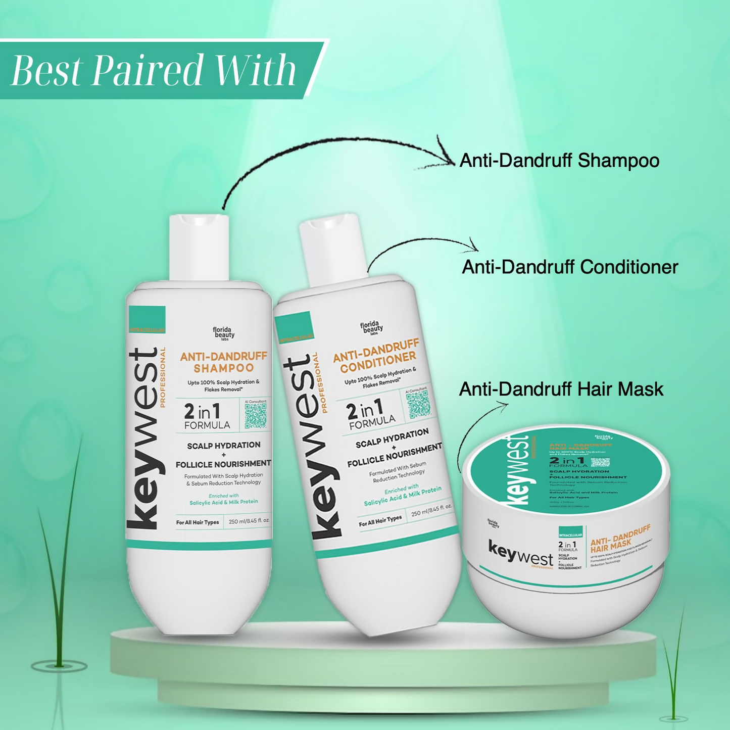 https://cdn.shopify.com/s/files/1/1857/6931/files/jkJQmFK0YB.png?v=1728989486