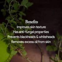 https://cdn.shopify.com/s/files/1/1857/6931/products/jyZVVlLGLJ.jpg?v=1633055683