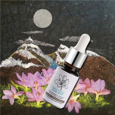https://cdn.shopify.com/s/files/1/1857/6931/products/kGiYxUKjss.jpg?v=1709555421