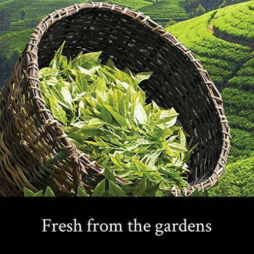 https://cdn.shopify.com/s/files/1/1857/6931/products/kcr9pFPVdD.jpg?v=1700827809