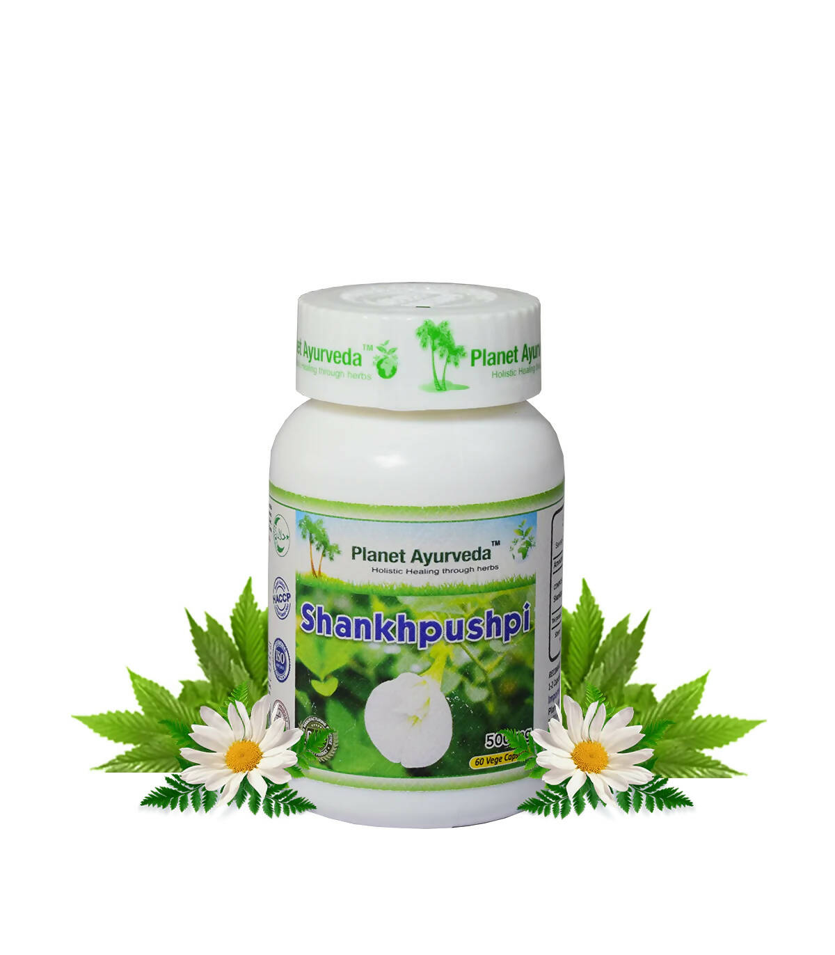 https://cdn.shopify.com/s/files/1/1857/6931/products/lCuMVz4opw.jpg?v=1762350894