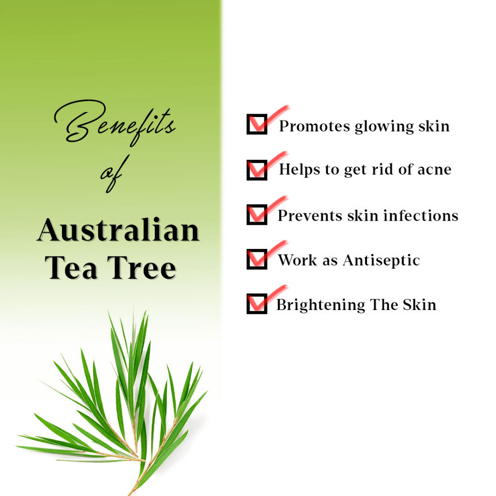 https://cdn.shopify.com/s/files/1/1857/6931/files/lD3cTfdFw0-901631.png?v=1736150827