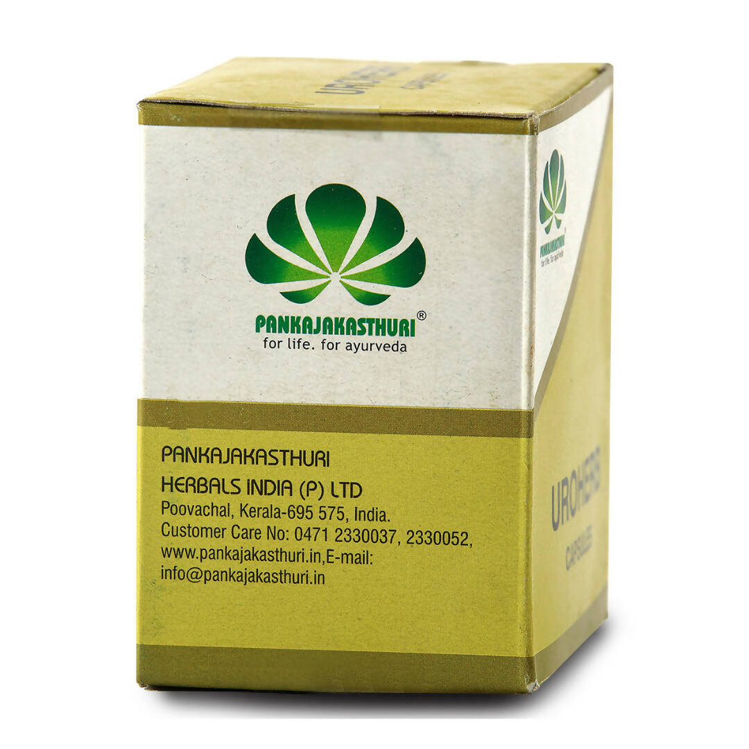 https://cdn.shopify.com/s/files/1/1857/6931/products/lz4e8Puro9.jpg?v=1677328271