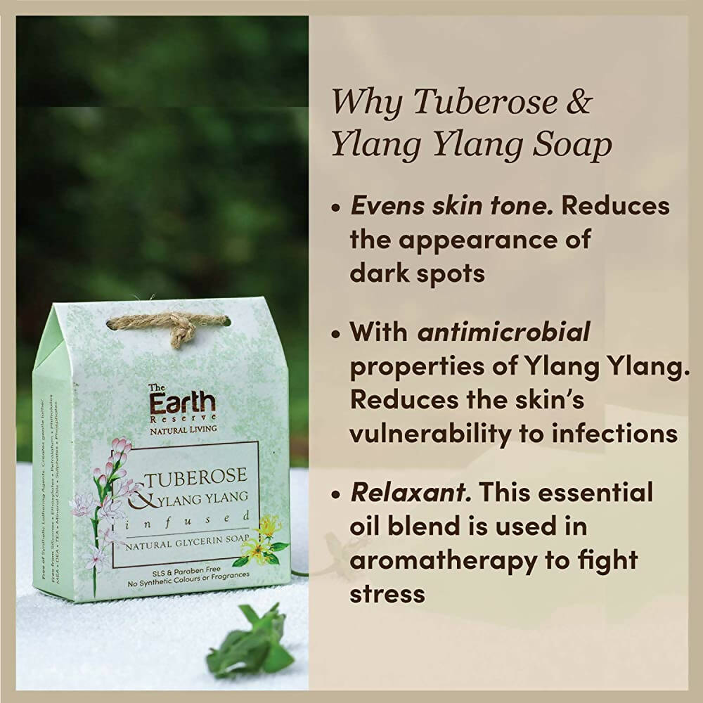 https://cdn.shopify.com/s/files/1/1857/6931/products/m8NRrSvor1.jpg?v=1667210847