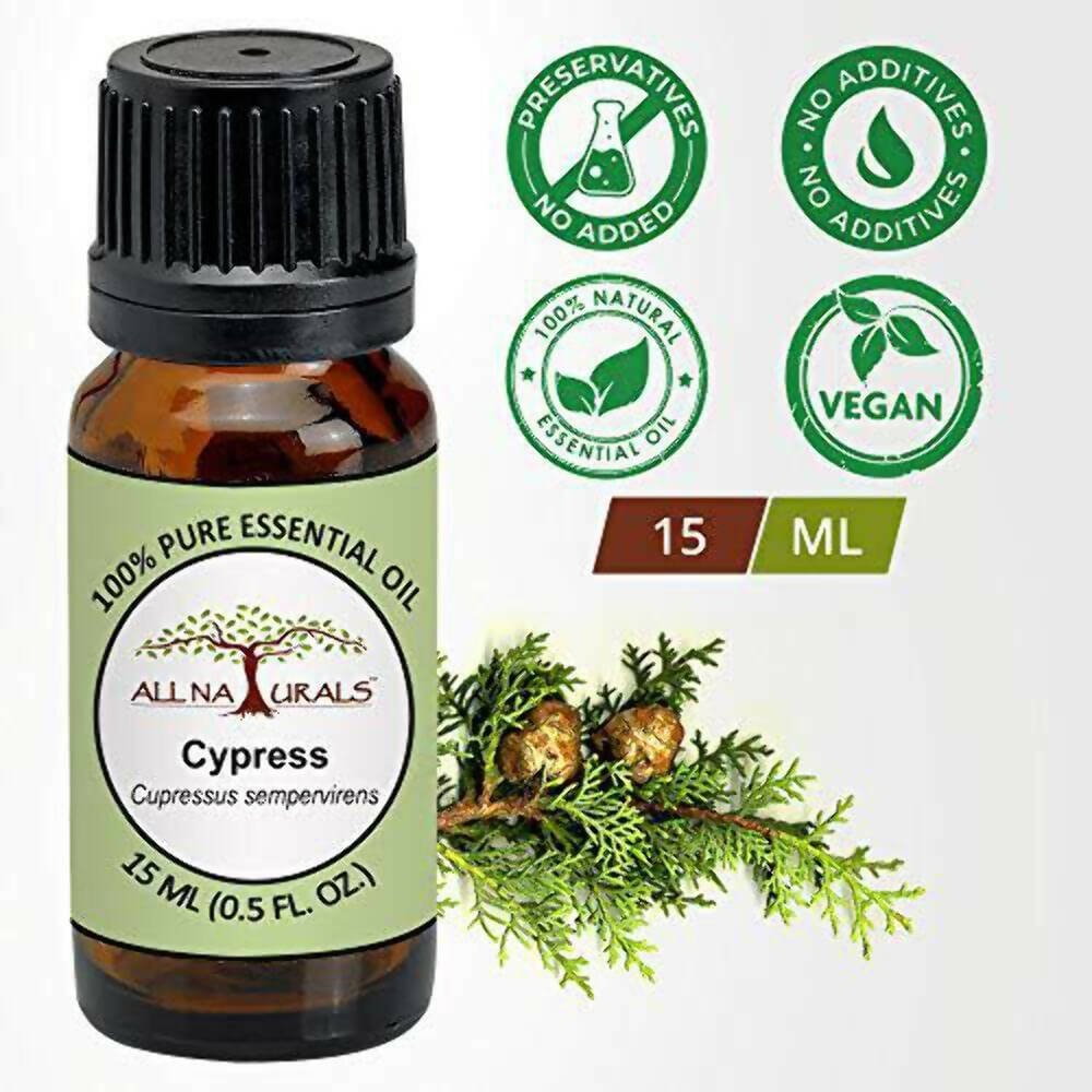 https://cdn.shopify.com/s/files/1/1857/6931/files/n9AjrernUH-691104.jpg?v=1736146454