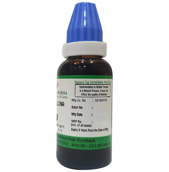 https://cdn.shopify.com/s/files/1/1857/6931/products/nrAEvjuuQb.jpg?v=1660134518