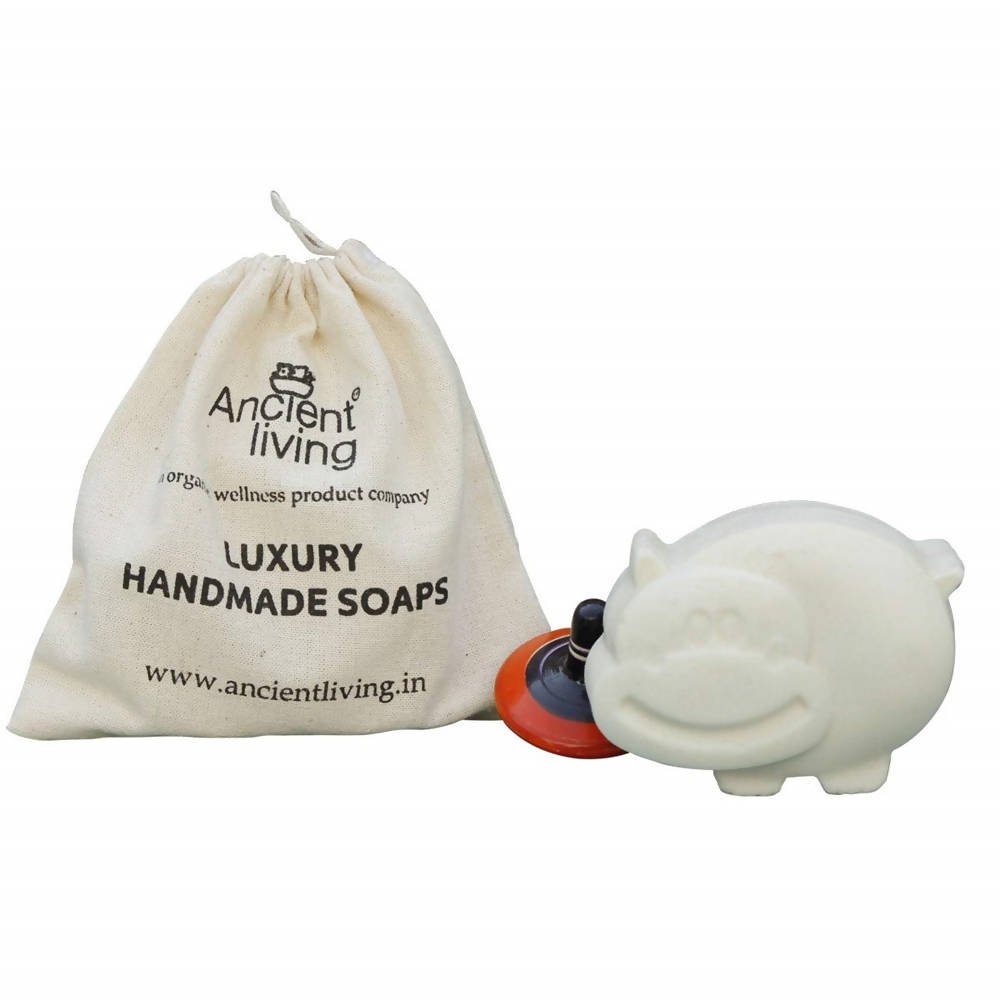 https://cdn.shopify.com/s/files/1/1857/6931/files/oNYAFS2gxC-645273.jpg?v=1736147454