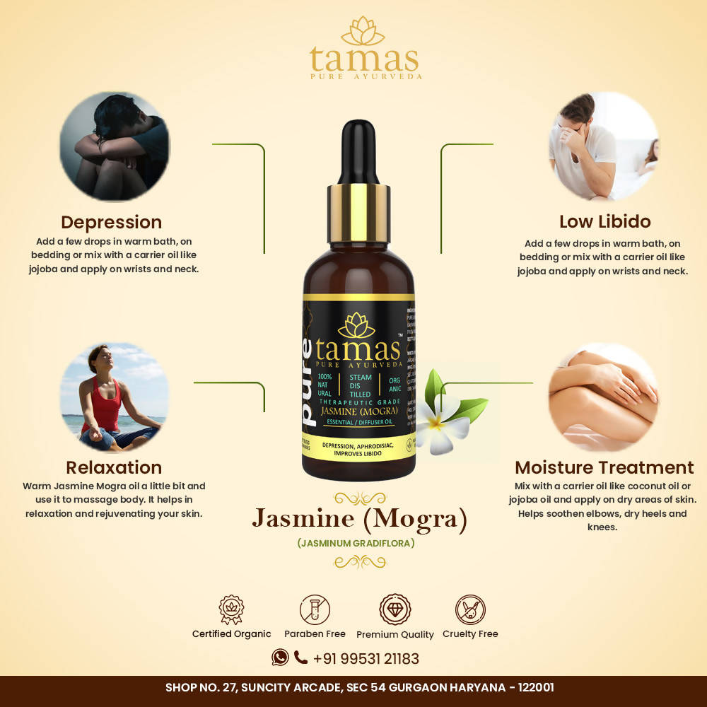 https://cdn.shopify.com/s/files/1/1857/6931/products/oVVSp7ErFj.jpg?v=1626402547