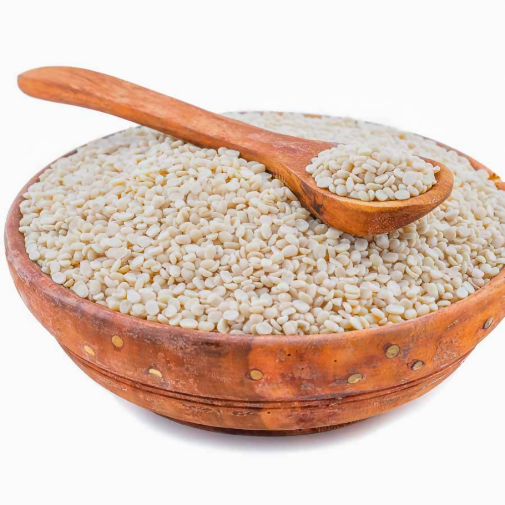 https://cdn.shopify.com/s/files/1/1857/6931/files/oz8ELOZotO.png?v=1772887487