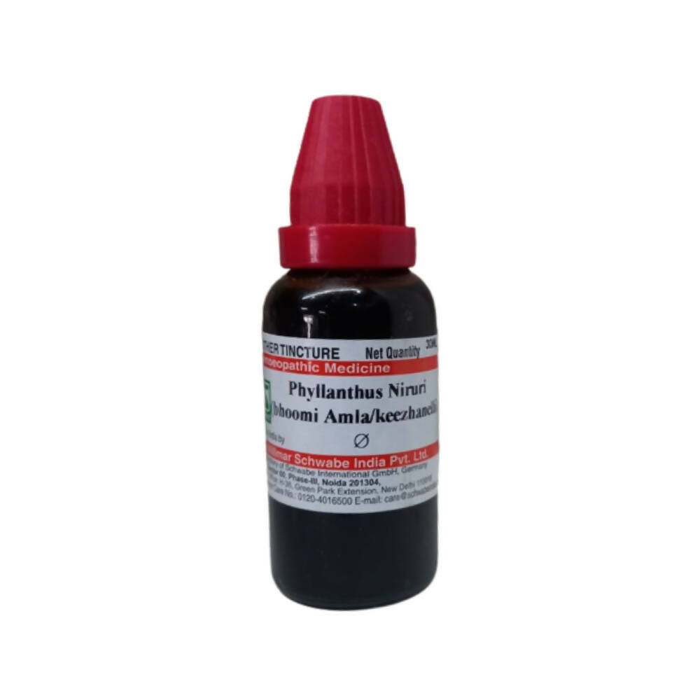 https://cdn.shopify.com/s/files/1/1857/6931/products/qDfokVuhSH.jpg?v=1670578495