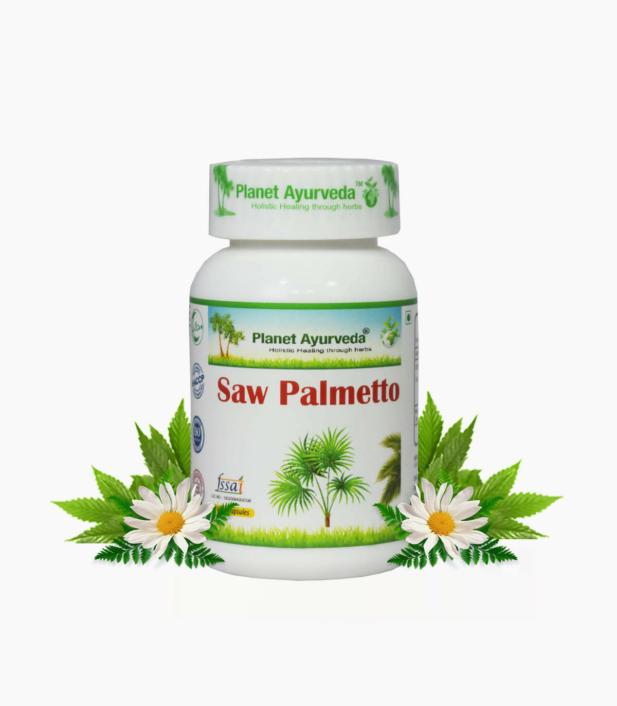 https://cdn.shopify.com/s/files/1/1857/6931/products/qU1697lGWB.jpg?v=1759356159