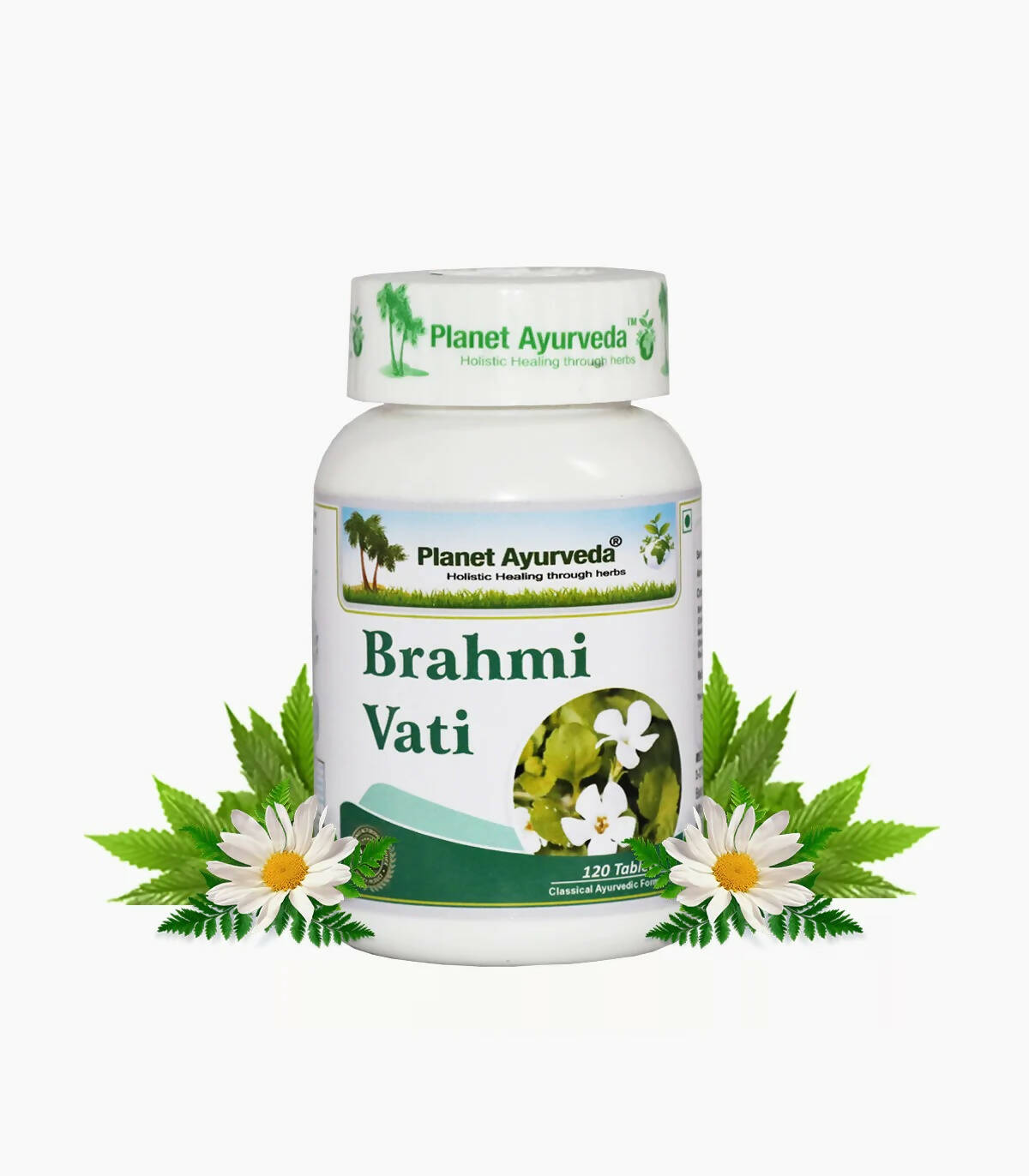 https://cdn.shopify.com/s/files/1/1857/6931/products/qwfDBqki9I.jpg?v=1762350680