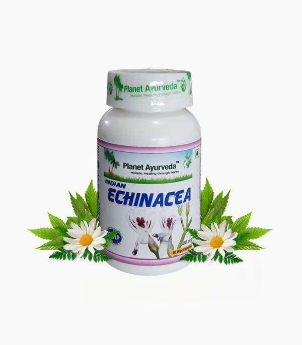 https://cdn.shopify.com/s/files/1/1857/6931/products/r4LMLVbSv4.jpg?v=1762350922