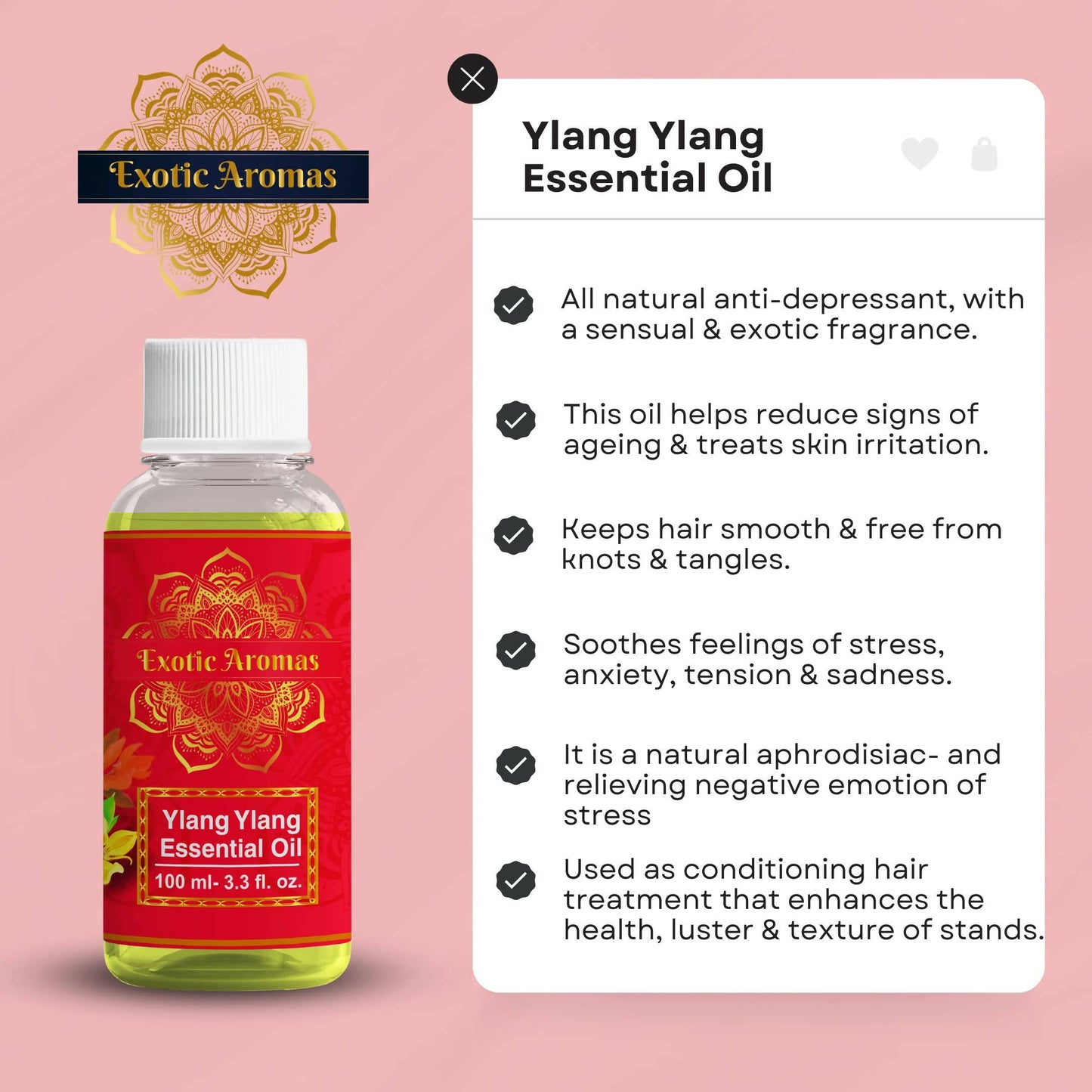 https://cdn.shopify.com/s/files/1/1857/6931/products/r8Ad7tG5UX.jpg?v=1683029850