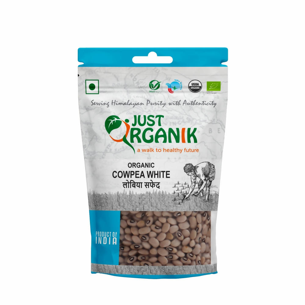 https://cdn.shopify.com/s/files/1/1857/6931/products/rIQ1DzKISB.jpg?v=1650633000