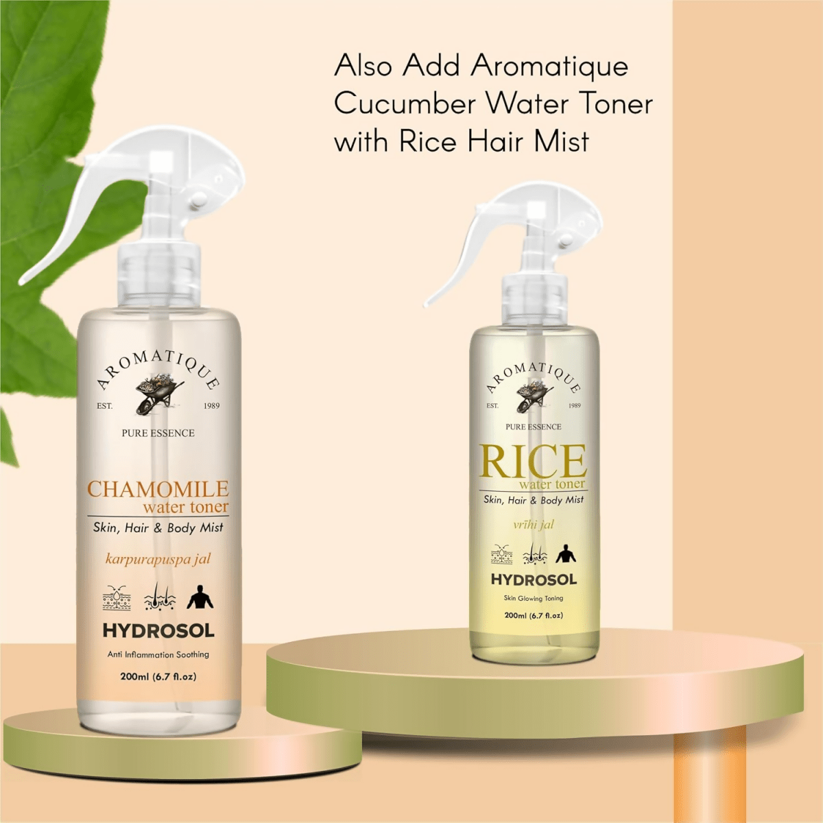 https://cdn.shopify.com/s/files/1/1857/6931/files/rR3jokJ5yA-599172.png?v=1736149328