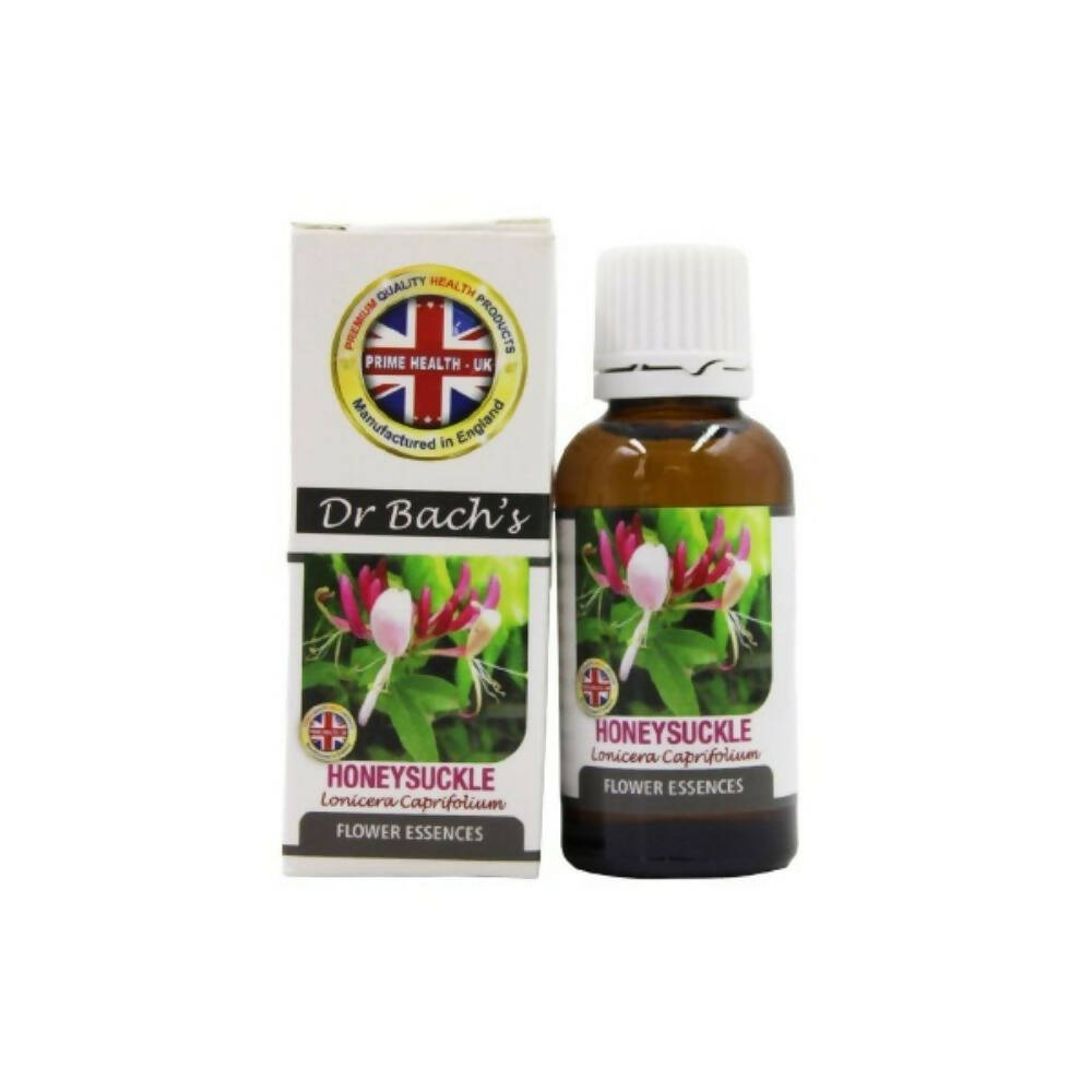 https://cdn.shopify.com/s/files/1/1857/6931/products/s1ZjDqs3YR.jpg?v=1762366391