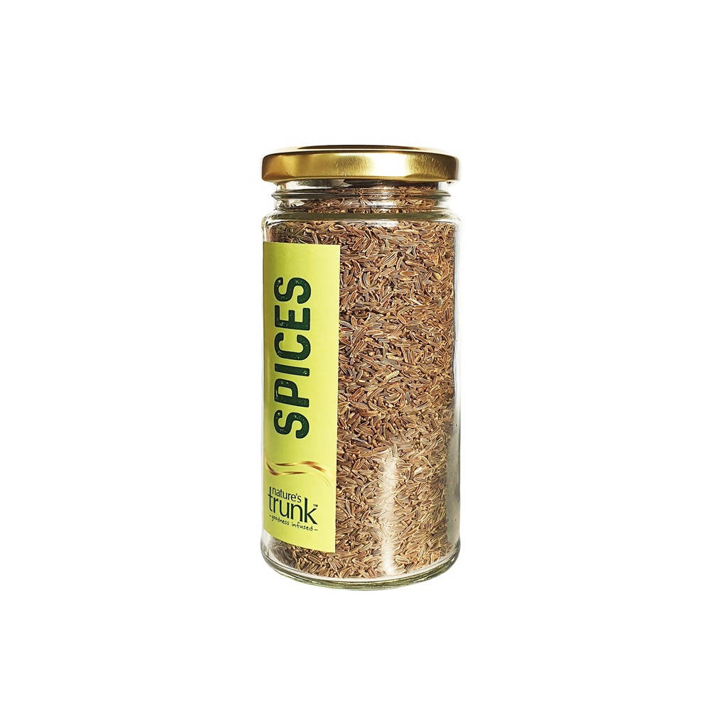 https://cdn.shopify.com/s/files/1/1857/6931/products/sPBihSyg00.jpg?v=1630031484