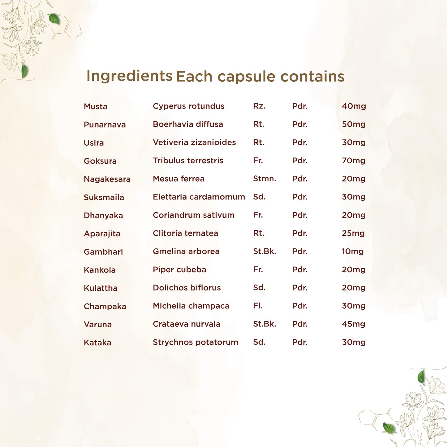 https://cdn.shopify.com/s/files/1/1857/6931/files/shreevarma-capsule-reknown-capsules-for-renal-care-ayurvedic-supplement-for-urinary-infection-kidney-detox-effective-against-kidney-stone-punarnava-goksura-aprajitha-60-capsules-32684_efd40d38-ea26-41fa-a6cf-7a8bf6edca2a.jpg?v=1772528659