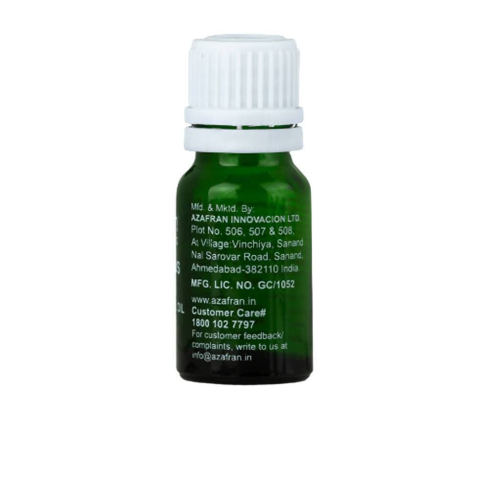 https://cdn.shopify.com/s/files/1/1857/6931/products/uXzRZYfTPN.jpg?v=1613904192