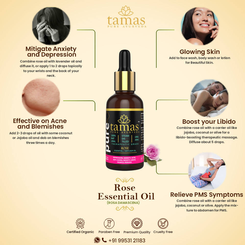 https://cdn.shopify.com/s/files/1/1857/6931/products/v0LH7irCew.jpg?v=1626075258