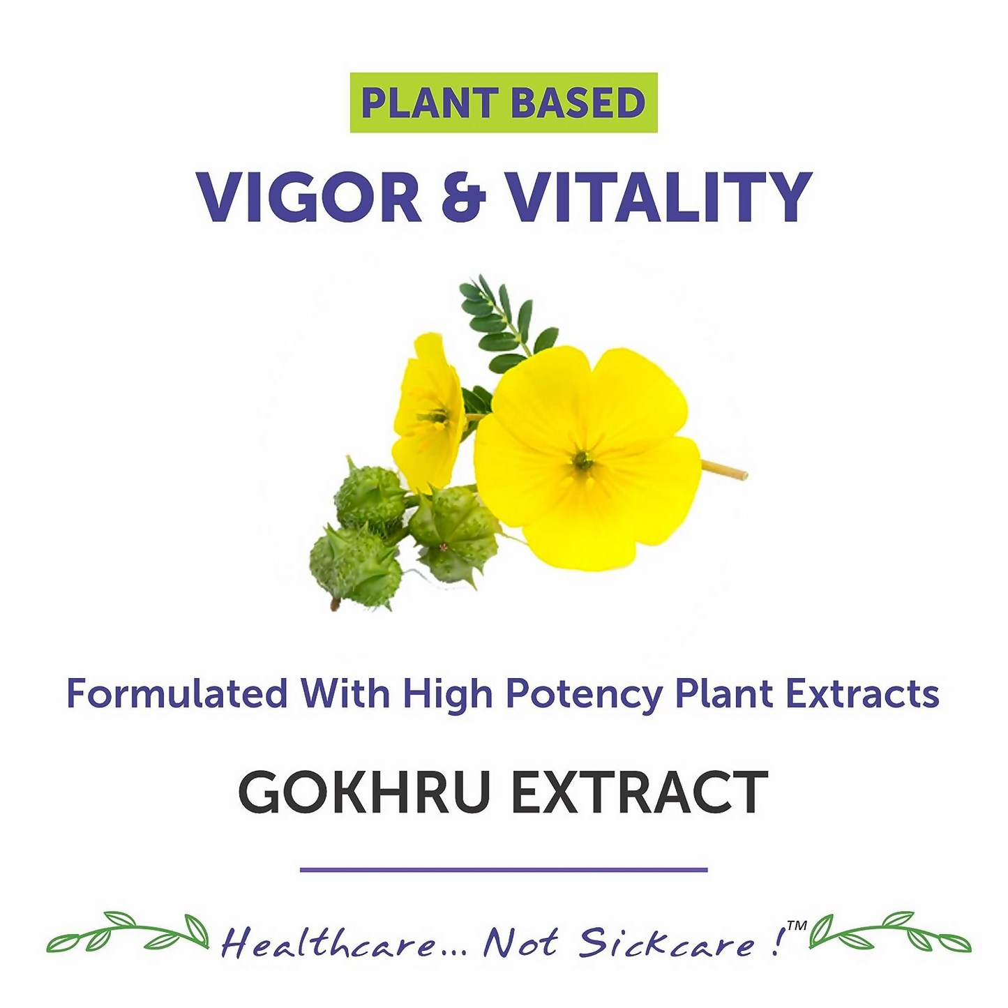 https://cdn.shopify.com/s/files/1/1857/6931/products/vNDRNfHVZk.png?v=1693986183