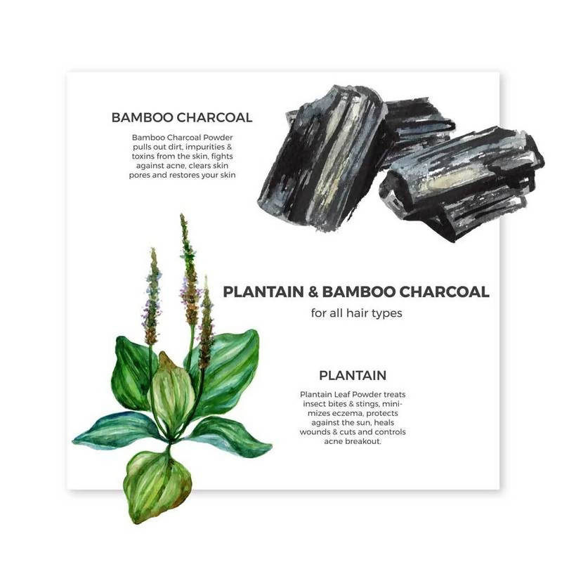 https://cdn.shopify.com/s/files/1/1857/6931/products/vc3fLrEXhK.jpg?v=1627008169