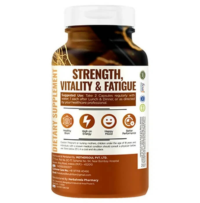 https://cdn.shopify.com/s/files/1/1857/6931/products/wDgxv3NlxB.jpg?v=1681993402